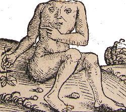 A Blemmy from Hartmann Schedel's Nuremberg Chronicle.