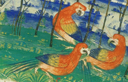 Detail of the anonymous Portuguese Cantino planisphere of 1502, depicting parrots in Brazil.
