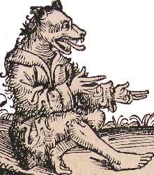 A Cynocephalus from Hartmann Schedel's Nuremberg Chronicle.