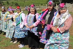 Mapuche women by Ministerio Bienes Nacionales - Ministro Osorio entrega terreno a Comunidad Mapuche Lorenzo Quintrileo de Tirúa via Wikimedia.